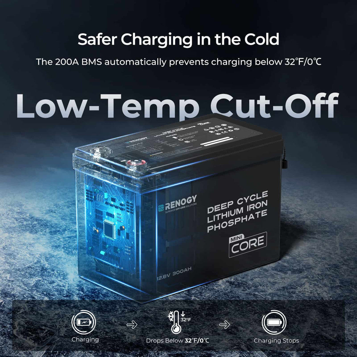 2 Packs Core Mini - 12.8V 300Ah Lithium Iron Phosphate Battery w/ Low-Temperature Protection