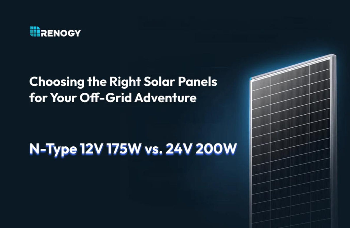 Paneles Solares N-Type para Vida Off-Grid: Opciones de 12V 175W y 24V 200W