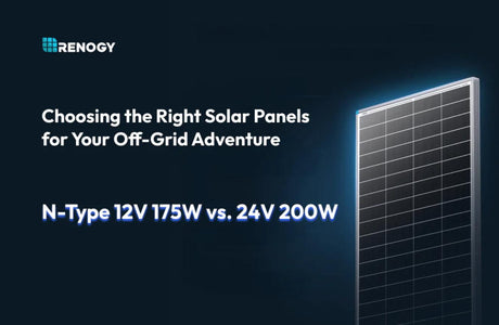 Paneles Solares N-Type para Vida Off-Grid: Opciones de 12V 175W y 24V 200W