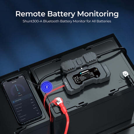 RENOGY Battery Shunt 300
