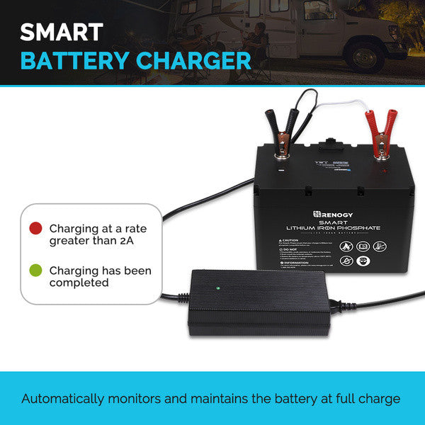 Member Price  20A 240V AC to DC Lithium Iron Phosphate Battery Charger
